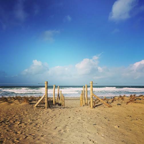 Prince Croft Cottage Porthtowan المظهر الخارجي الصورة